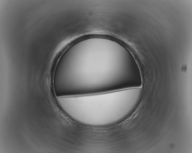 X0000097471319200802220820
