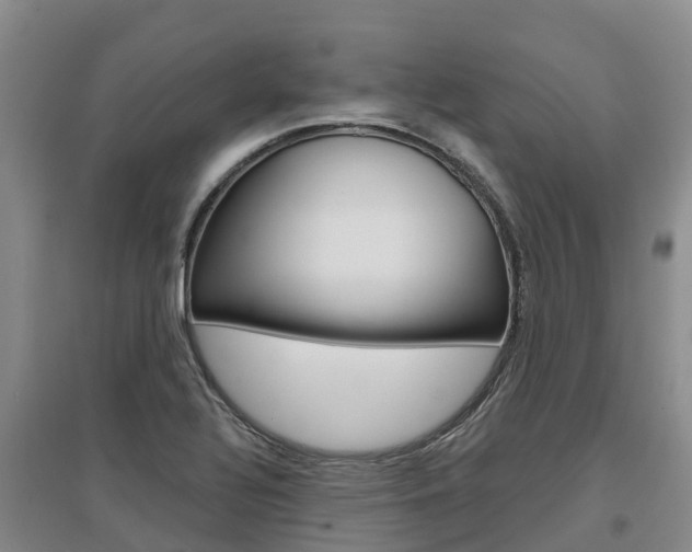 X0000097471320200802220820