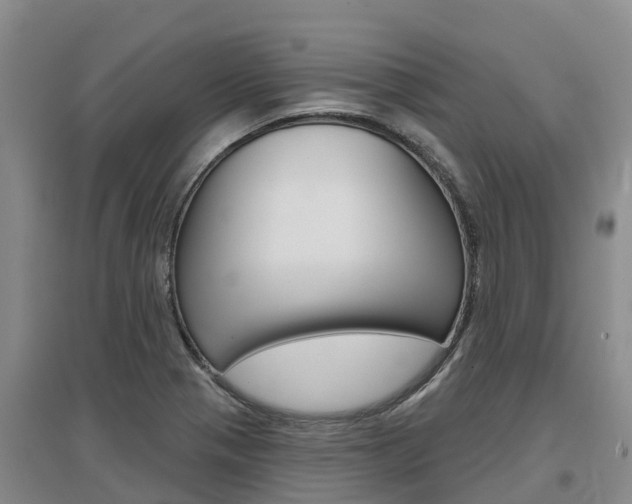 X0000097471321200802220820