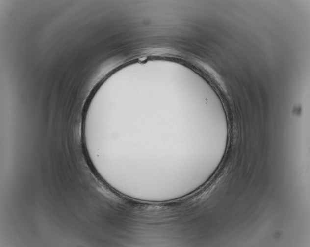 X0000097471322200802220820