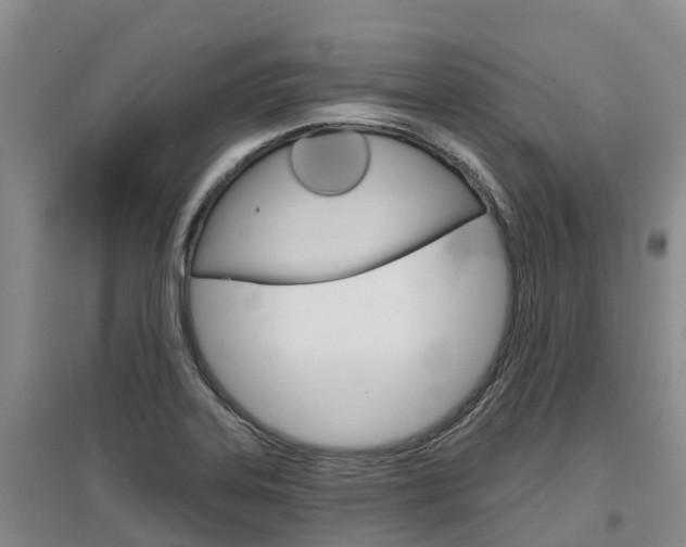 X0000097471323200802220821
