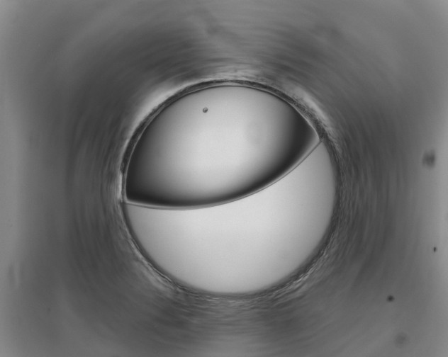 X0000097471324200802220821