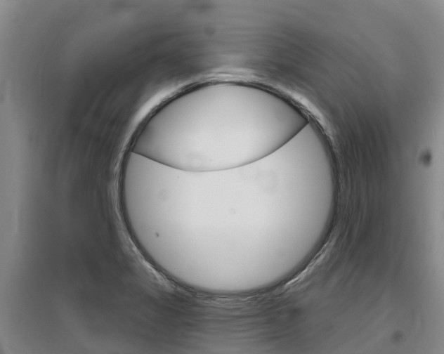 X0000097471325200802220821