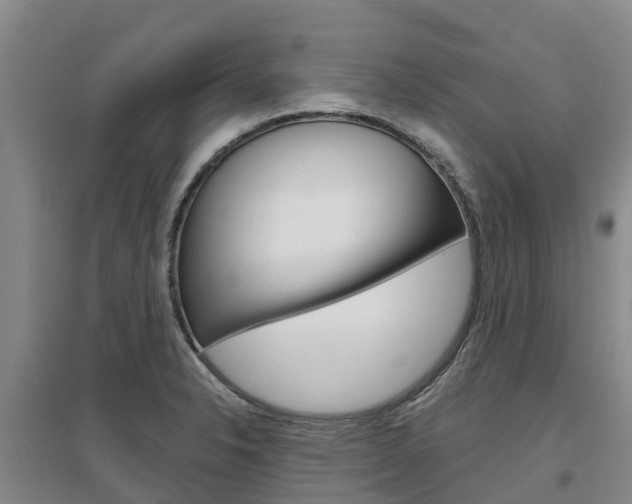 X0000097471326200802220821
