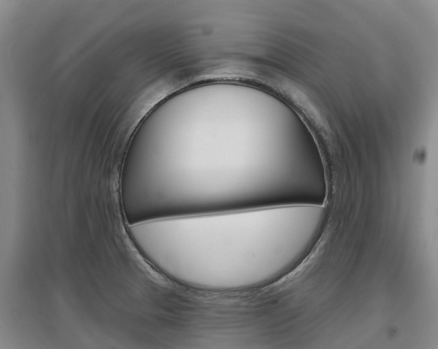 X0000097471329200802220821
