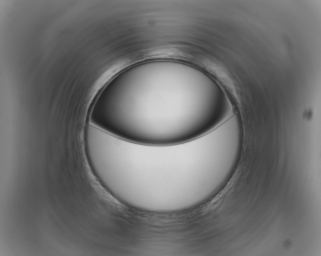 X0000097471330200802220821