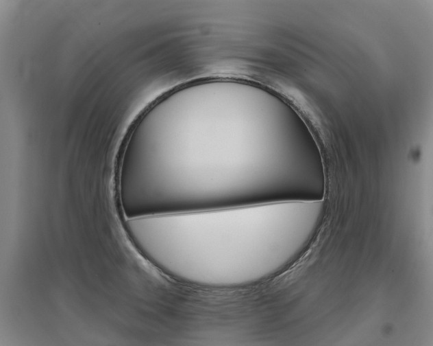 X0000097471331200802220821