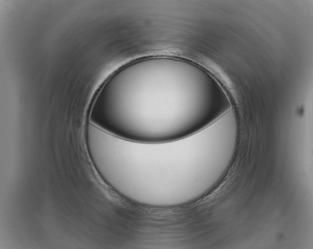 X0000097471332200802220821