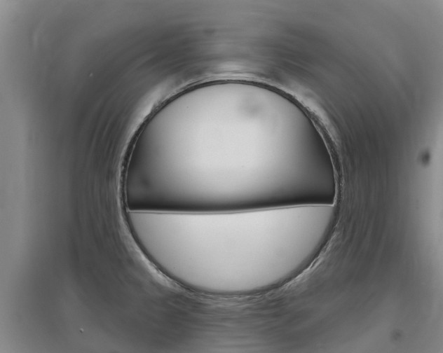 X0000097471333200802220821