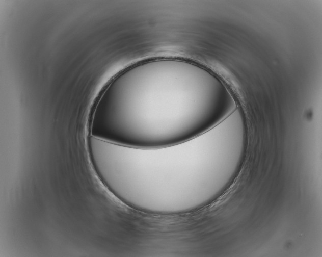 X0000097471334200802220821