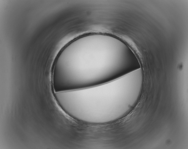 X0000097471335200802220821