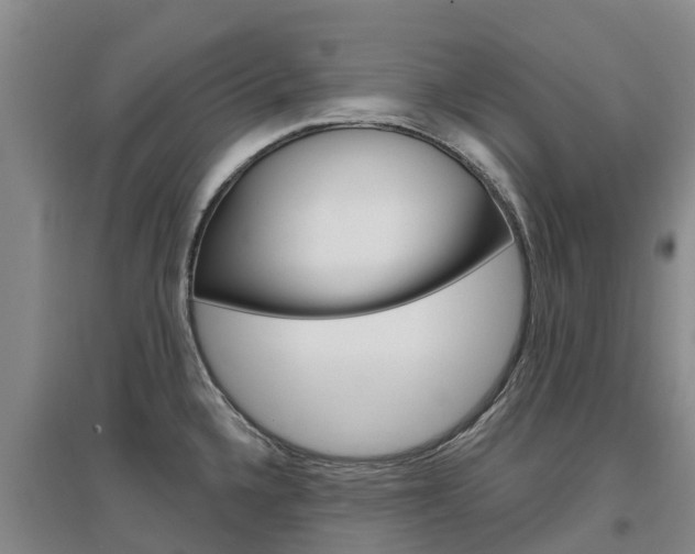 X0000097471336200802220821