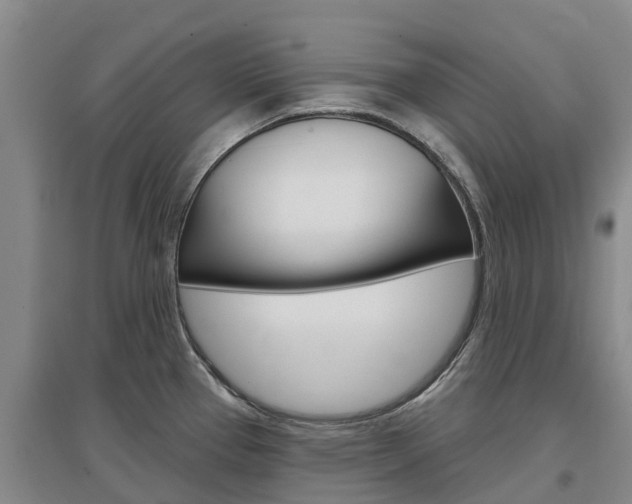 X0000097471337200802220821