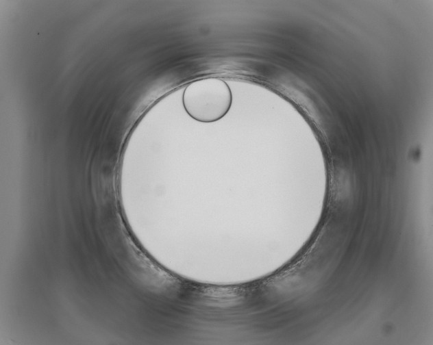 X0000097471338200802220821