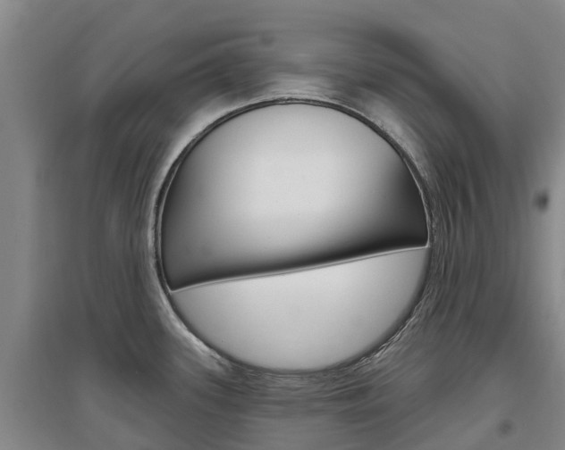 X0000097471339200802220821