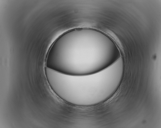 X0000097471340200802220821