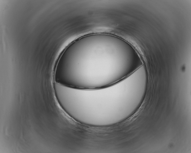 X0000097471342200802220821