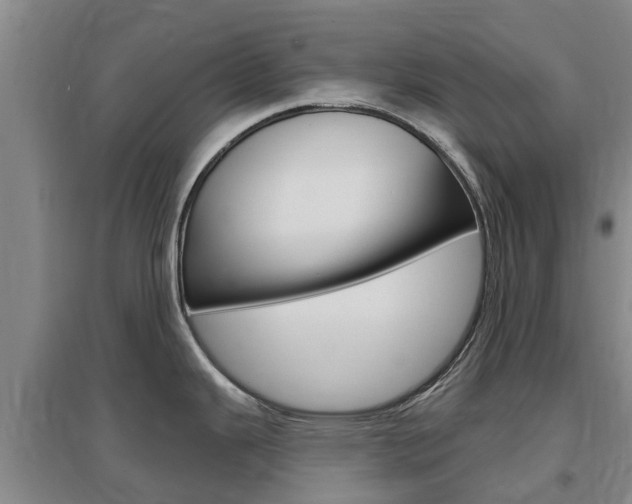 X0000097471343200802220821