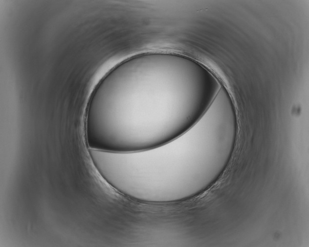 X0000097471344200802220821