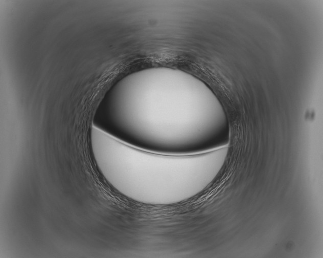 X0000097471345200802220820