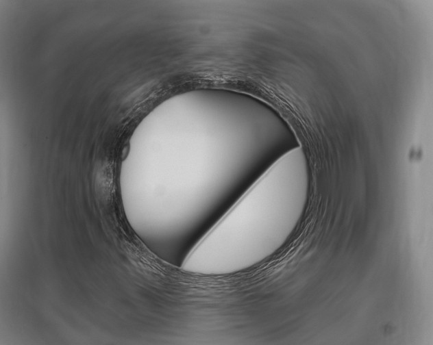X0000097471347200802220820