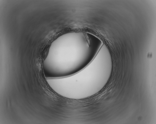 X0000097471348200802220820