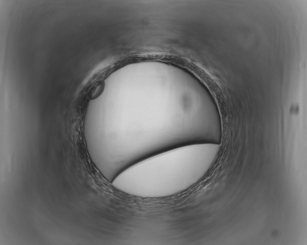 X0000097471351200802220820