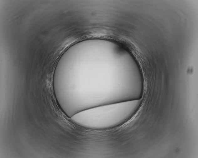 X0000097471353200802220820