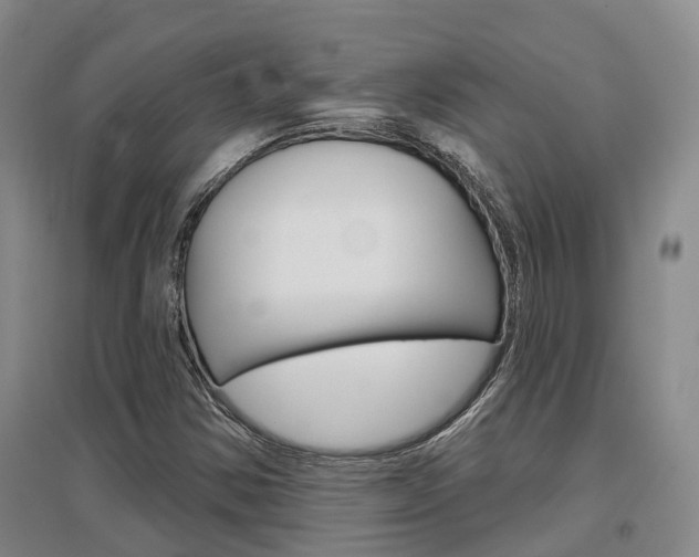 X0000097471354200802220820