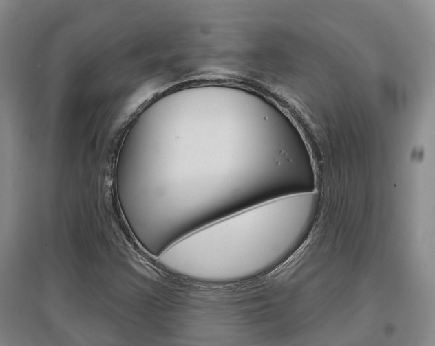 X0000097471355200802220820