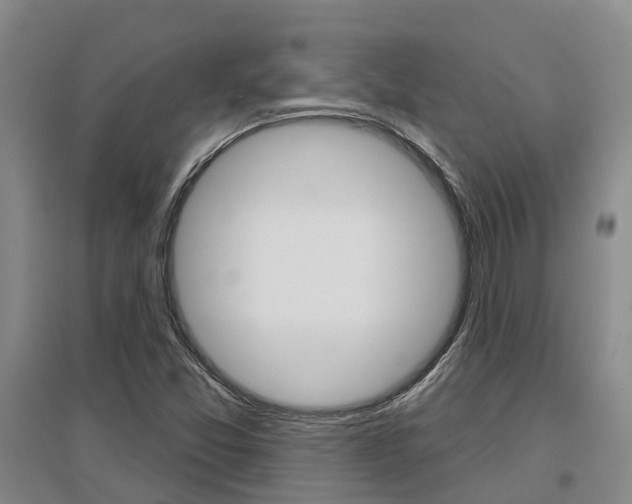 X0000097471357200802220820