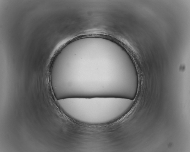 X0000097471358200802220820
