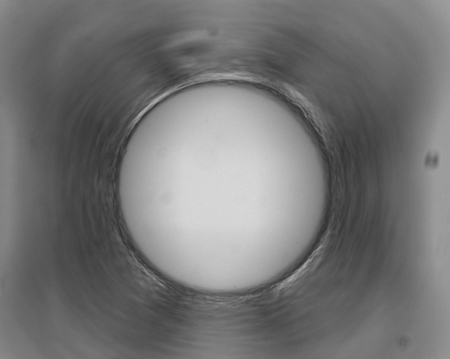 X0000097471361200802220820