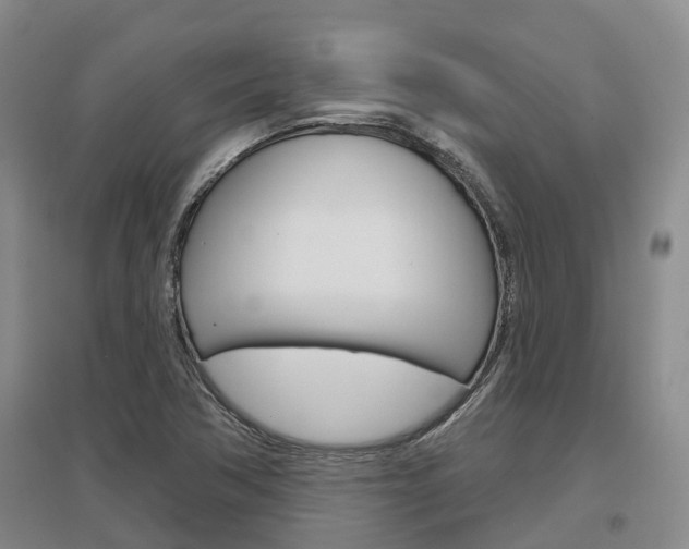 X0000097471362200802220820