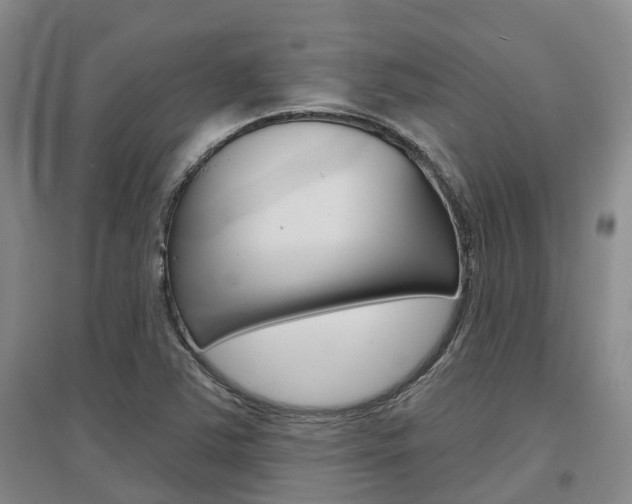 X0000097471363200802220820