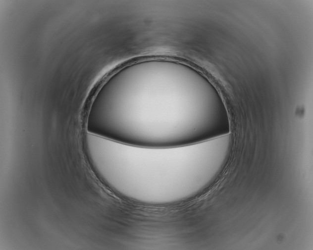 X0000097471364200802220820