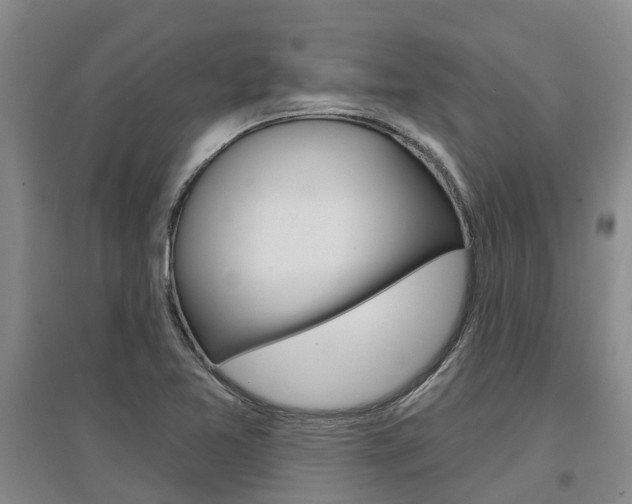 X0000097471365200802220820