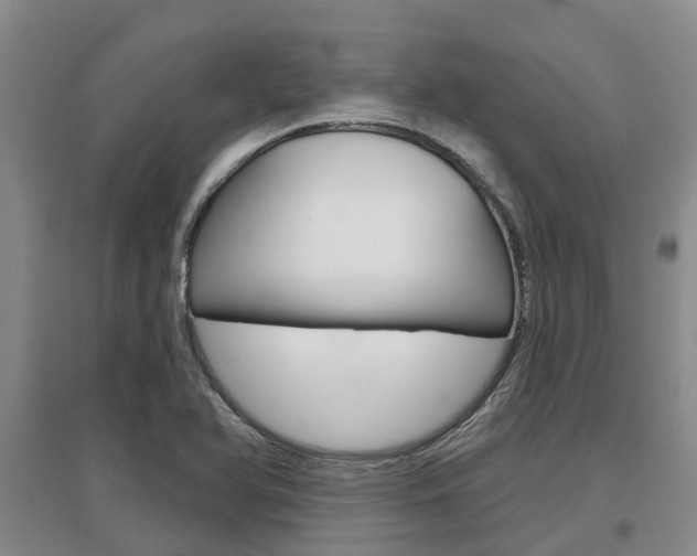 X0000097471366200802220820
