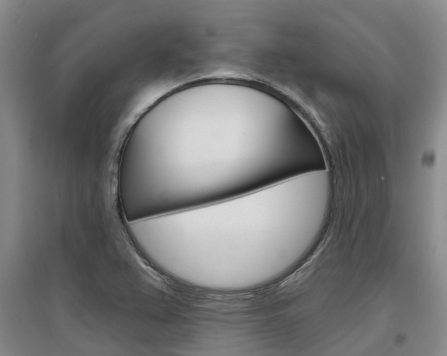 X0000097471367200802220820