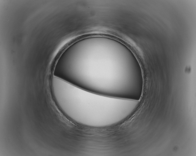X0000097471368200802220820