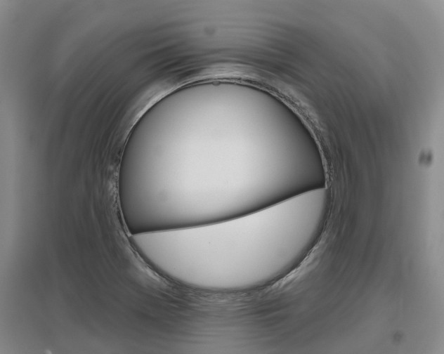 X0000097471369200802220820