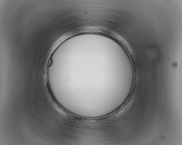 X0000097471370200802220820