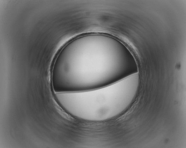 X0000097471372200802220820
