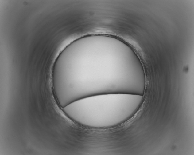 X0000097471374200802220820