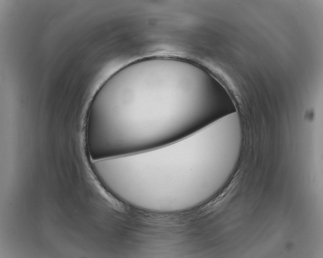 X0000097471375200802220820