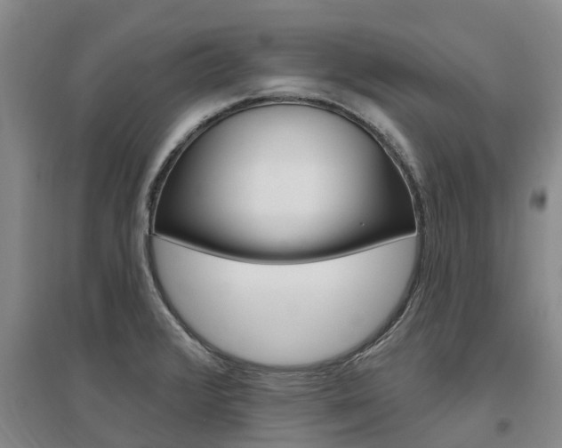 X0000097471376200802220820