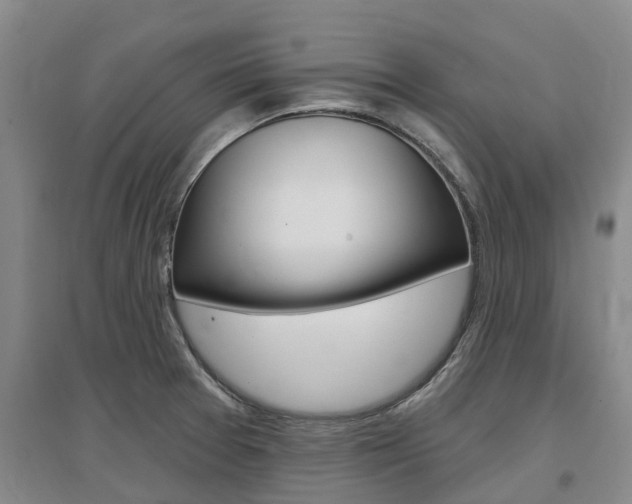 X0000097471377200802220820