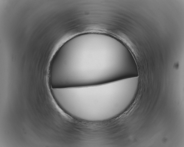 X0000097471379200802220820