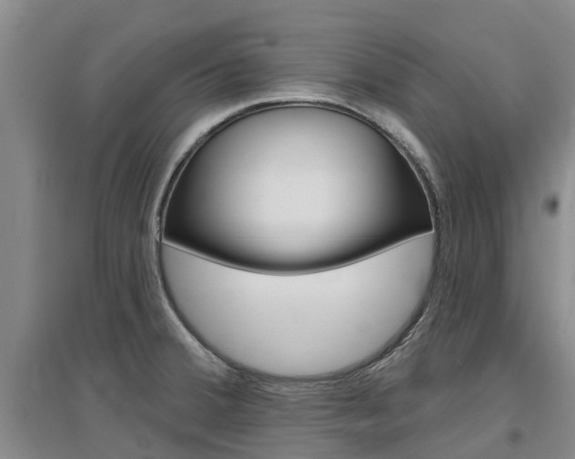 X0000097471380200802220820