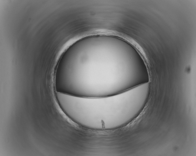 X0000097471381200802220820